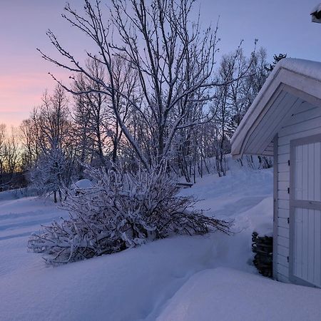 Cabin Magic On Senja, Atmosphere Like A Fairytale Botnhamn Bagian luar foto