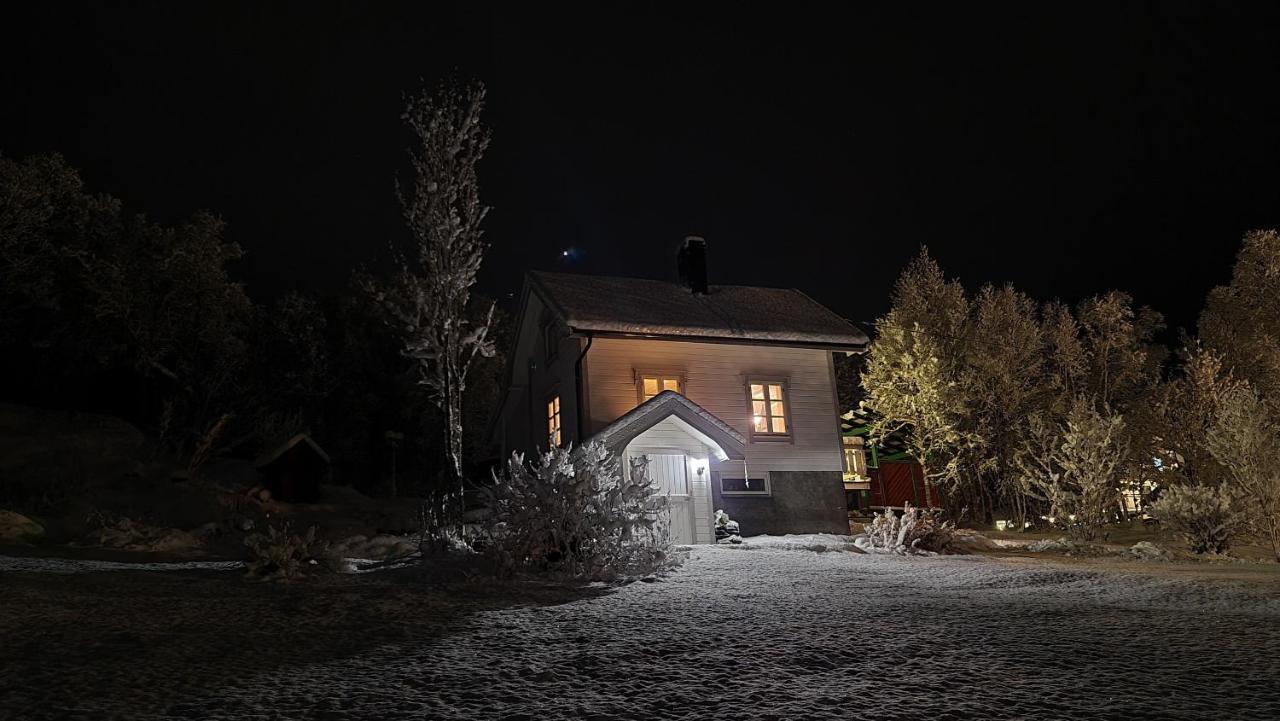 Cabin Magic On Senja, Atmosphere Like A Fairytale Botnhamn Bagian luar foto