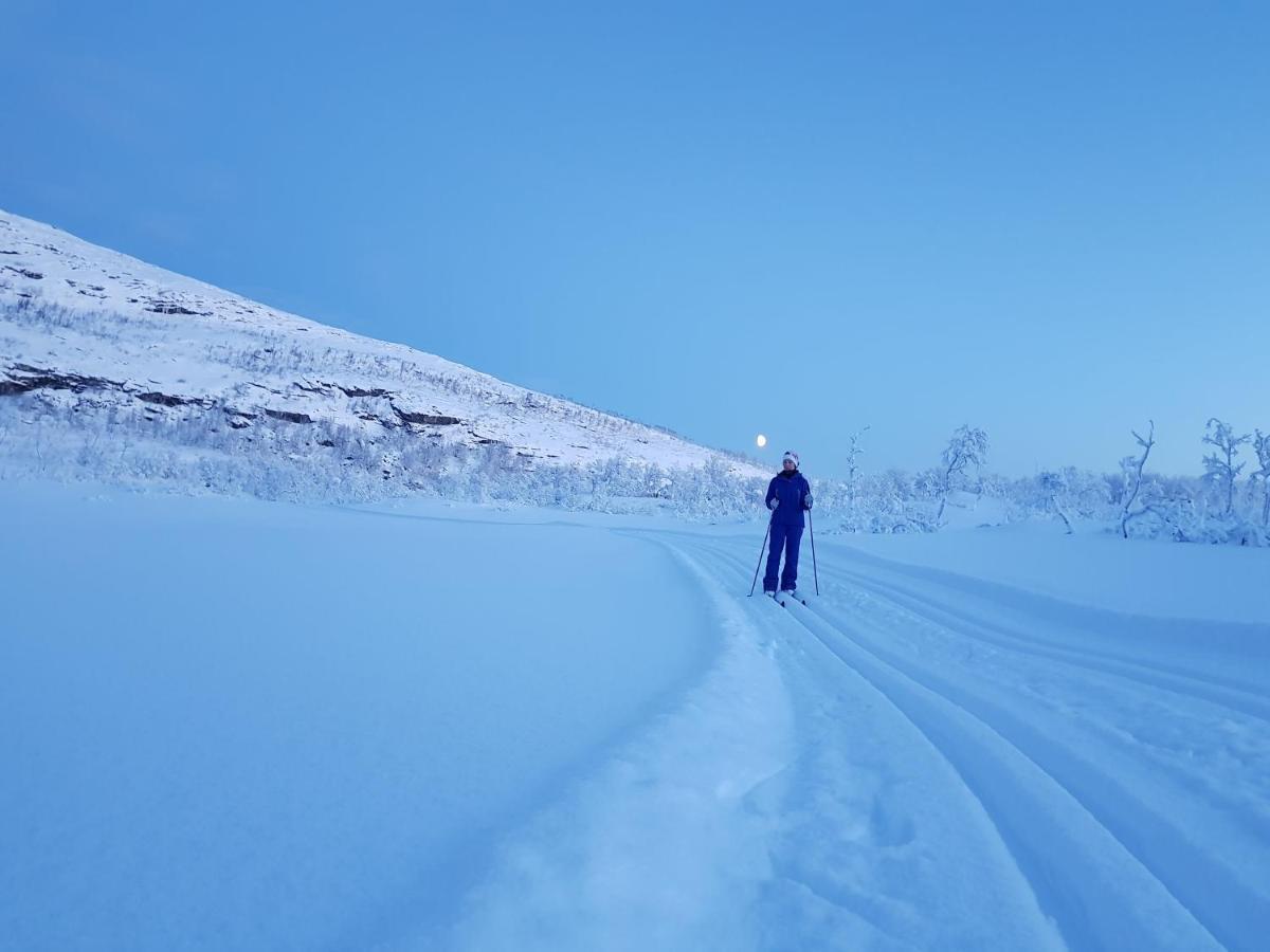 Cabin Magic On Senja, Atmosphere Like A Fairytale Botnhamn Bagian luar foto