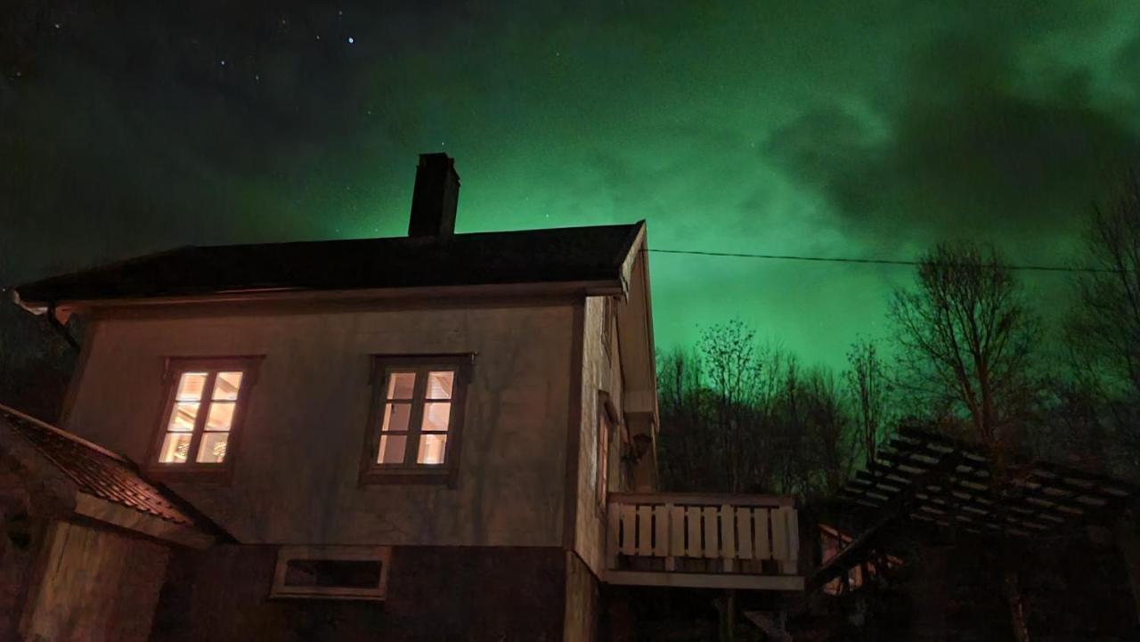 Cabin Magic On Senja, Atmosphere Like A Fairytale Botnhamn Bagian luar foto