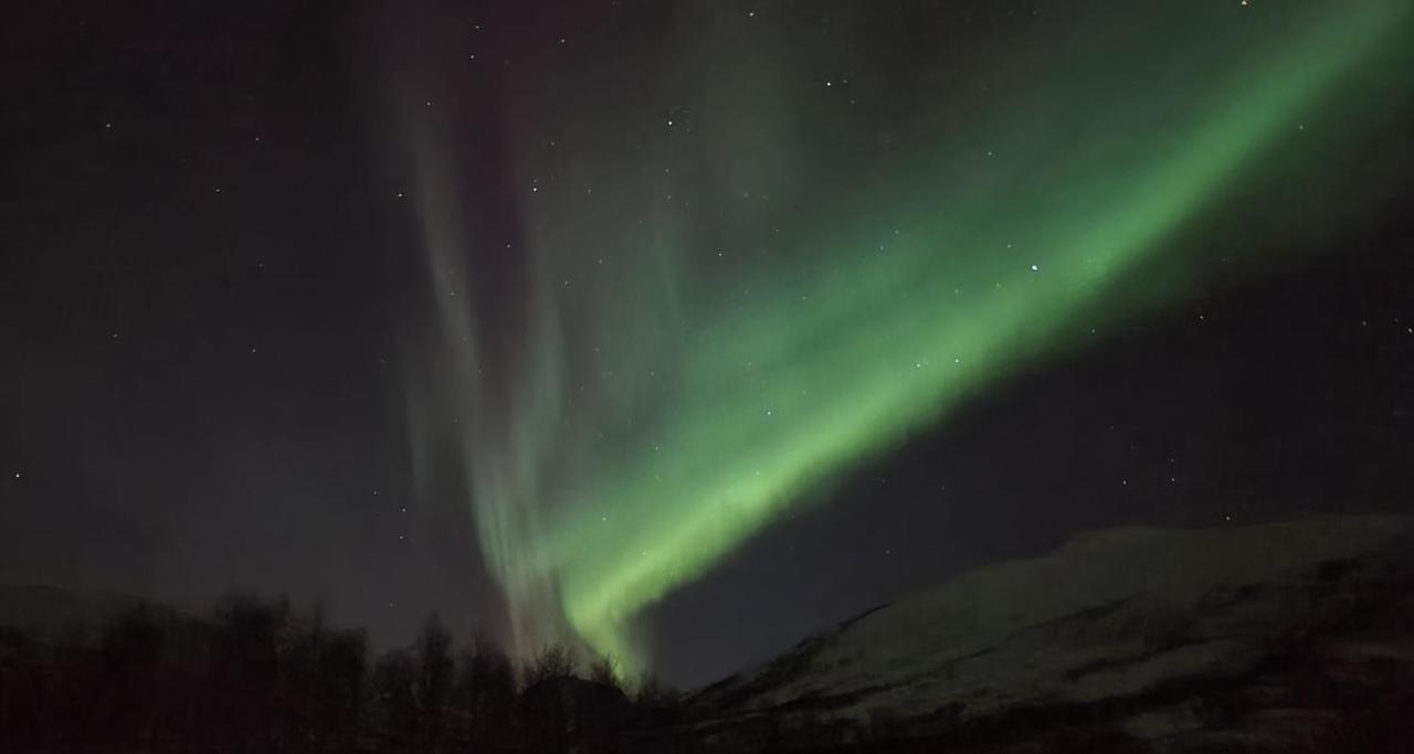 Cabin Magic On Senja, Atmosphere Like A Fairytale Botnhamn Bagian luar foto