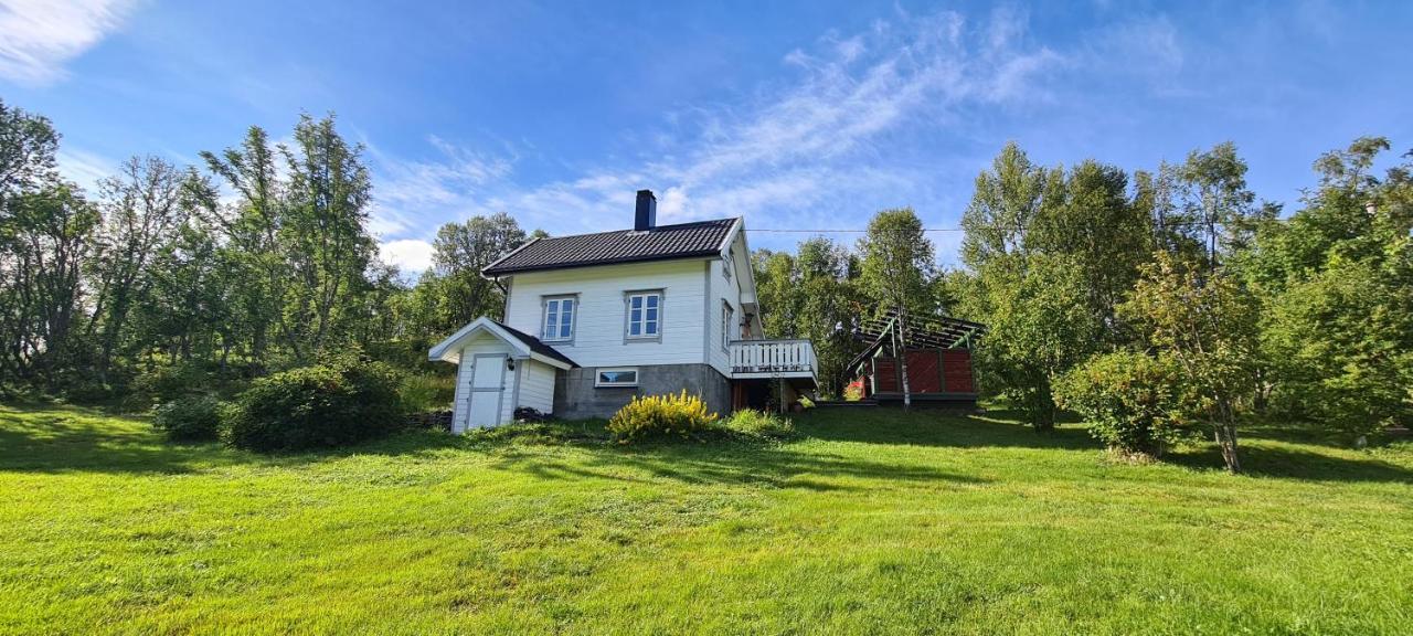 Cabin Magic On Senja, Atmosphere Like A Fairytale Botnhamn Bagian luar foto