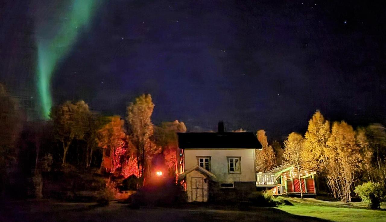 Cabin Magic On Senja, Atmosphere Like A Fairytale Botnhamn Bagian luar foto