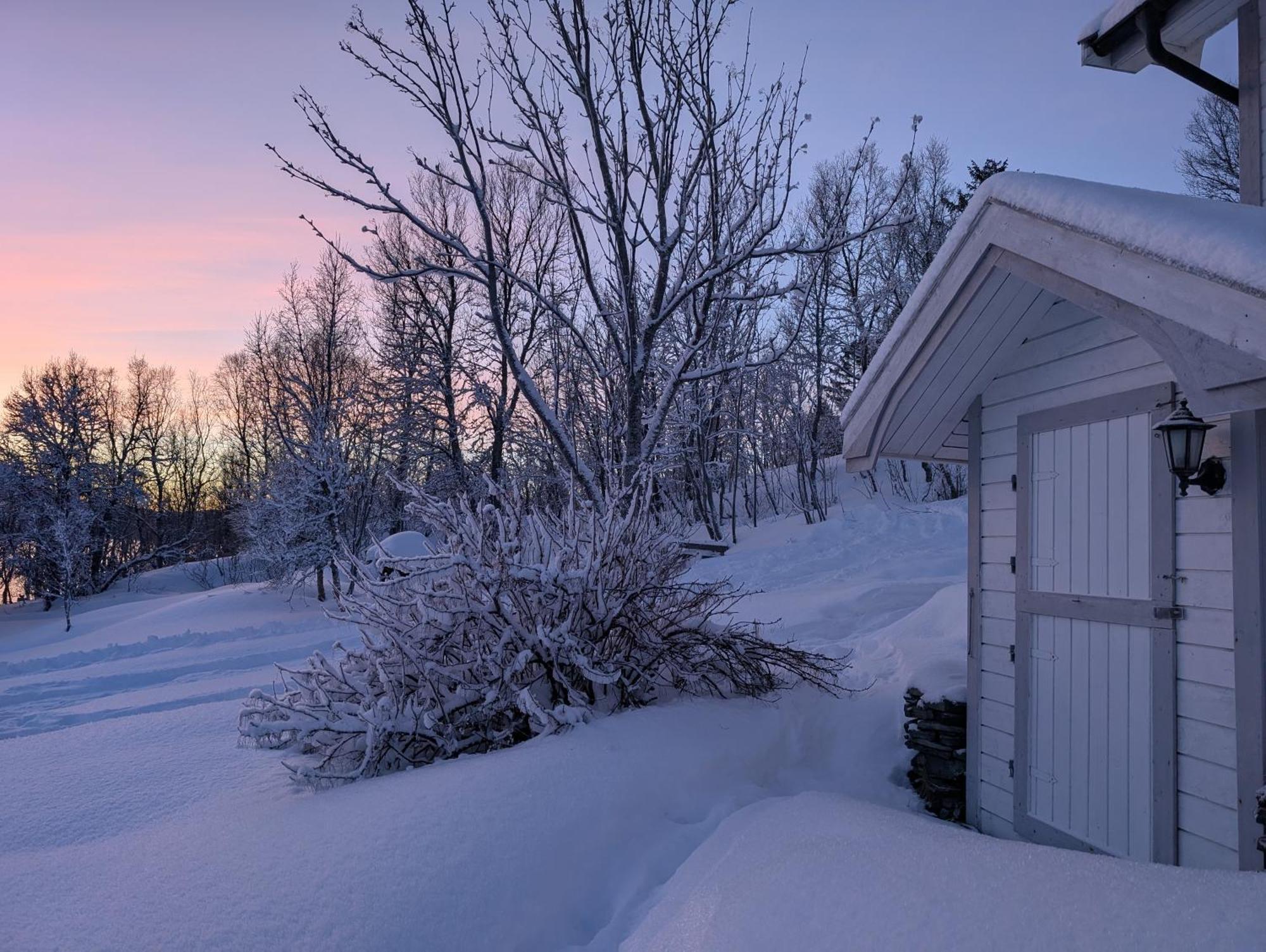 Cabin Magic On Senja, Atmosphere Like A Fairytale Botnhamn Bagian luar foto